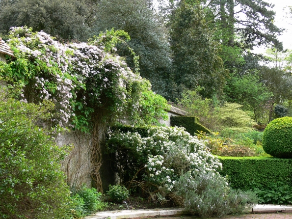 Bois des Moutiers (81) Mai 2012